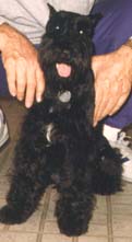 Bennie