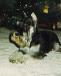 Fritz