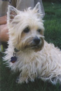 Lucy