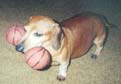 Macho