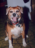 Maggie