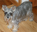 Margo