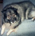 Max