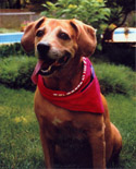 Rusty