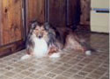 Rusty