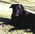 Ruth