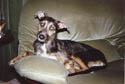 Sally