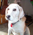 Samantha