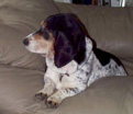 Sophie