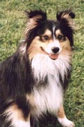 Sophie