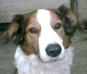Timba