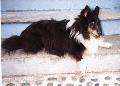 Tristan