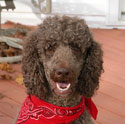 Tucker