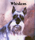 Whiskers